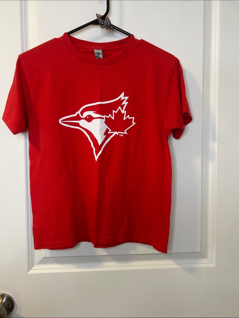 37. Gildan Red Short-Sleeve Tee with White Blue Jay Graphic